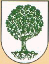 The Connors Coat of Arms
